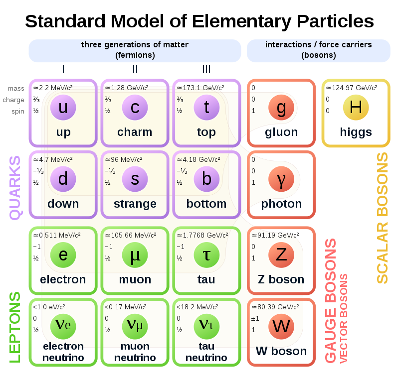 800px-Standard_Model_of_Elementary_Particles.svg.png